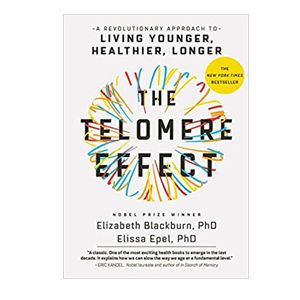the telomere 1
